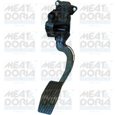 Accelerator Pedal Unit